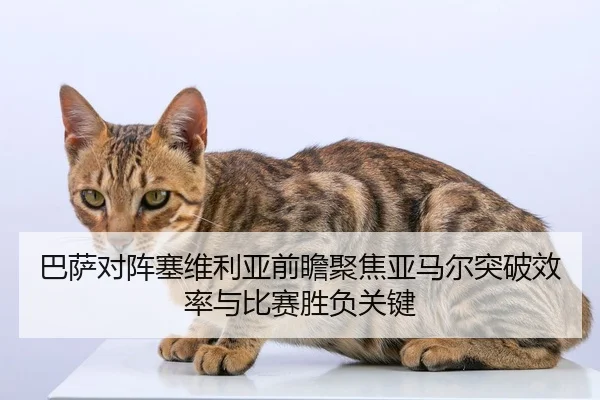 巴萨对阵塞维利亚前瞻聚焦亚马尔突破效率与比赛胜负关键